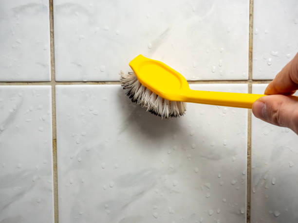 Trusted Riverside, AL Mold Removal Experts
