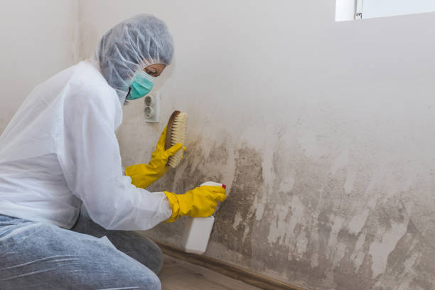 Best Residential Mold Removal  in Riverside, AL