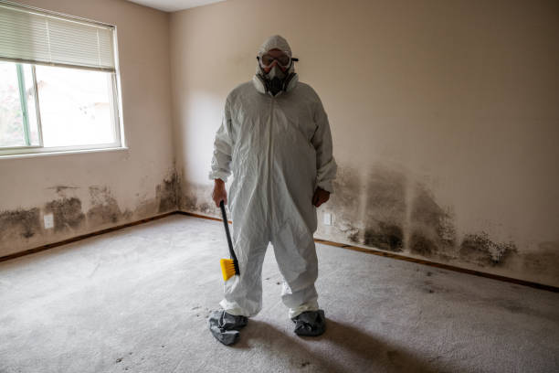Mold Testing and Removal in Riverside, AL